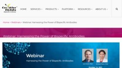 Webinar: Harnessing the Power of Bispecific Antibodies